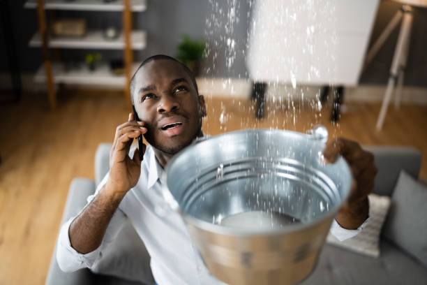 Best 24/7 water damage repair  in Belle Glade, FL