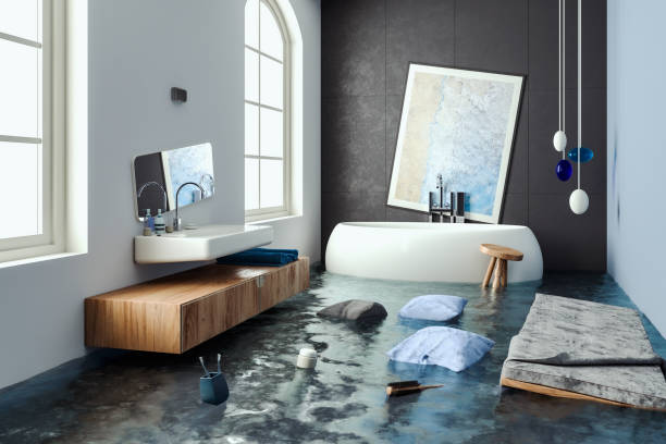 Best Professional water damage repair  in Belle Glade, FL