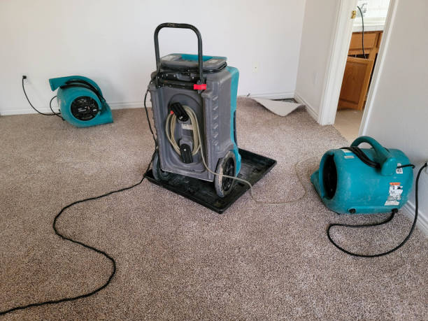 Best Local water damage restoration  in Belle Glade, FL
