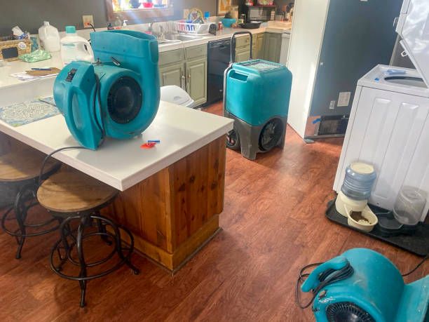 Best Fire Damage Restoration  in Belle Glade, FL