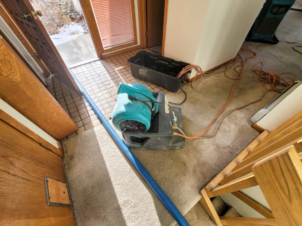 Best Flood restoration services  in Belle Glade, FL
