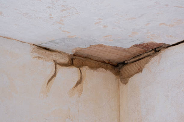 Best Emergency water damage restoration  in Belle Glade, FL