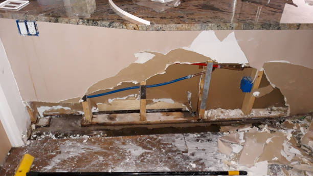Best Commercial water damage restoration  in Belle Glade, FL