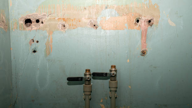 Best Carpet water damage restoration  in Belle Glade, FL