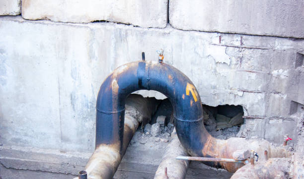 Best Water damage restoration near me  in Belle Glade, FL