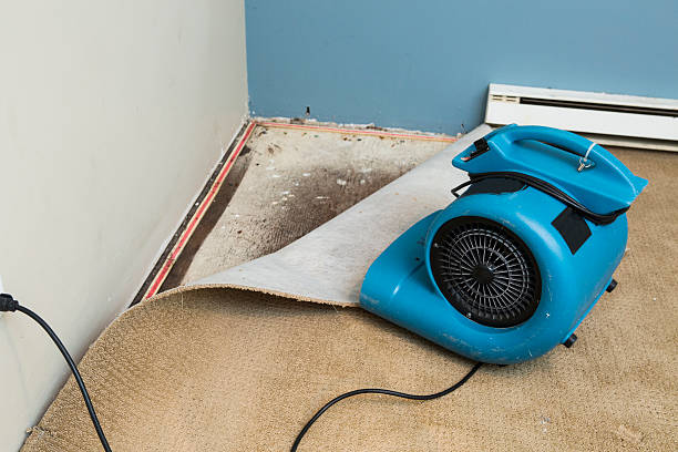 Best Fire Damage Restoration  in Belle Glade, FL