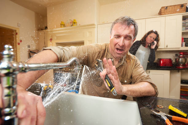 Best Local water damage restoration  in Belle Glade, FL